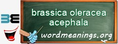 WordMeaning blackboard for brassica oleracea acephala